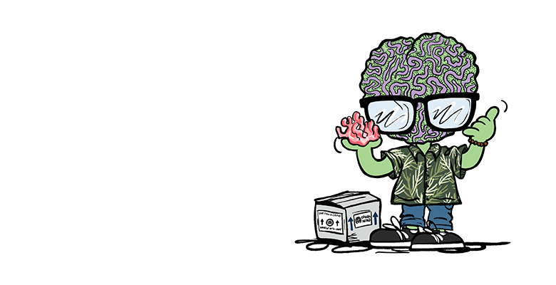 cn newsletterbanner willie nerds