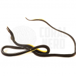 Black Ribbon Eel 2 coralnerd black ribbon eel