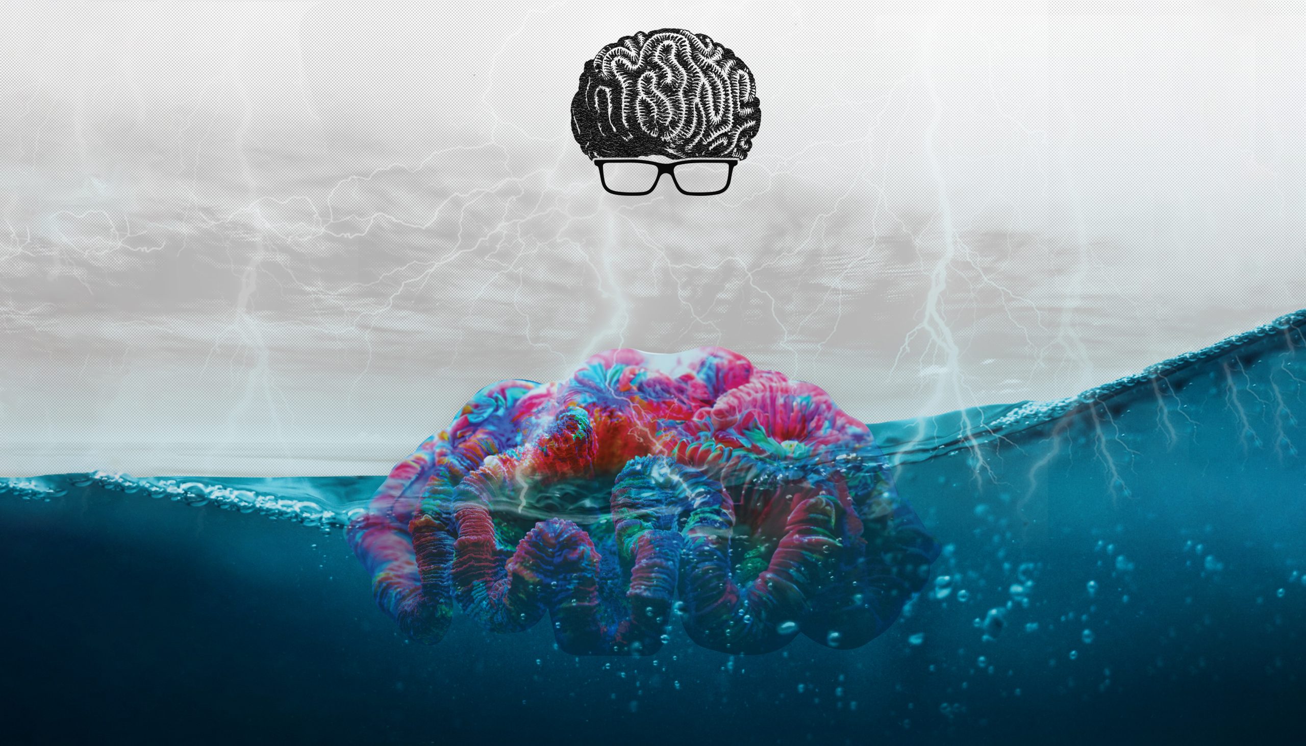 Coming Soon Graphic Rectangular WORKING V2 scaled