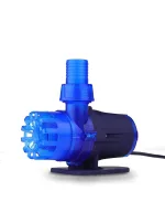 GREAT WHITE RETURN PUMP 5 received-813035759456189_800x