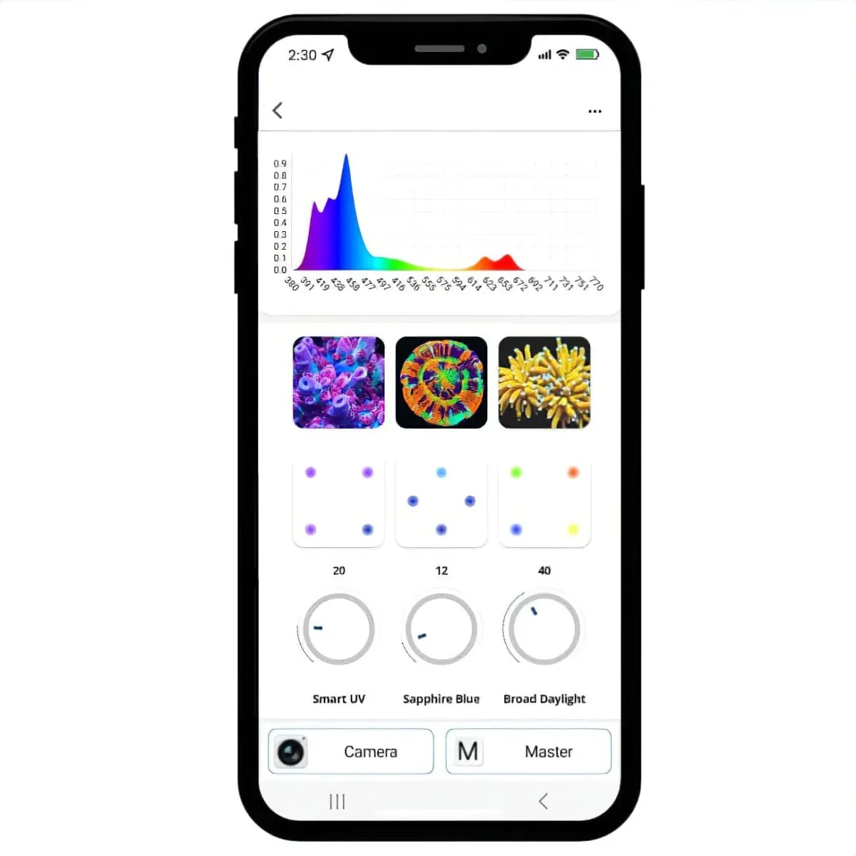 illumagic x4 instant